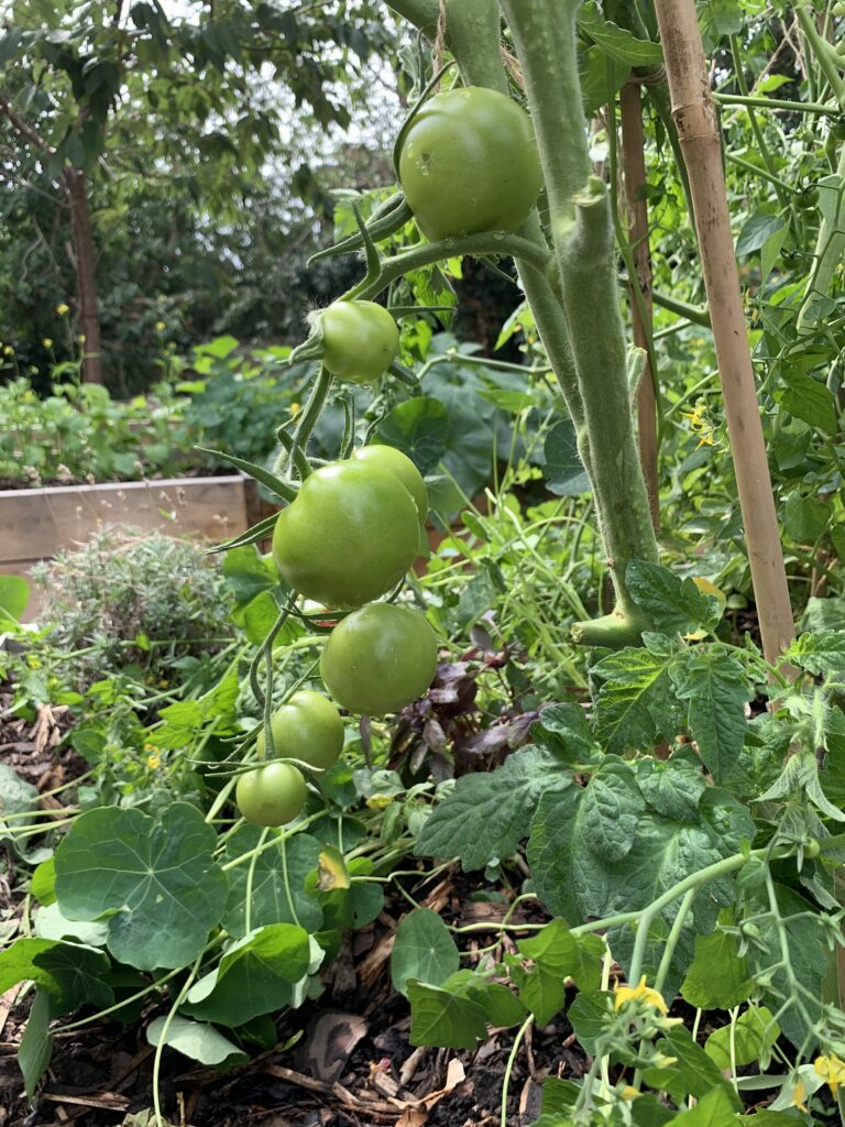 ISN Newsletter for April